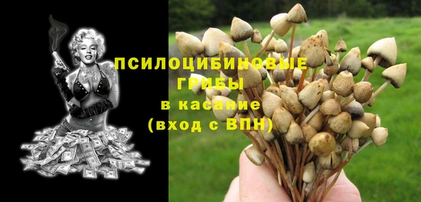 героин Алзамай